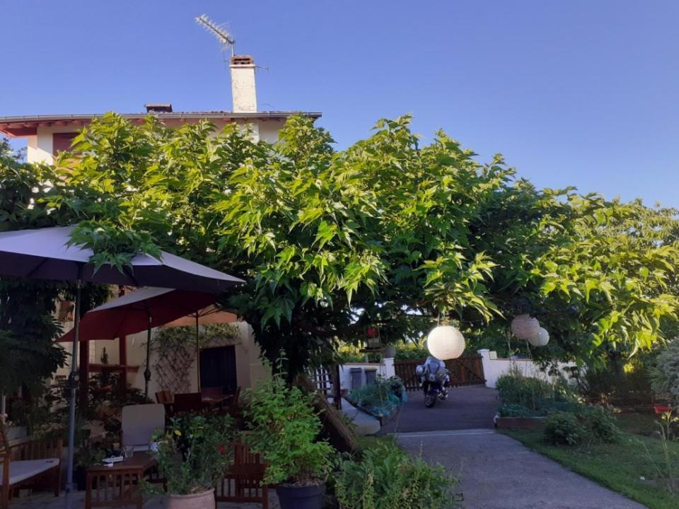Salies-de-Béarn Au Bosquet, Chambre Et Salle De Bains Avec Petit Dejeuner A 600 M Du Centre Dans Un Cadre Calme Et Verdoyant المظهر الخارجي الصورة