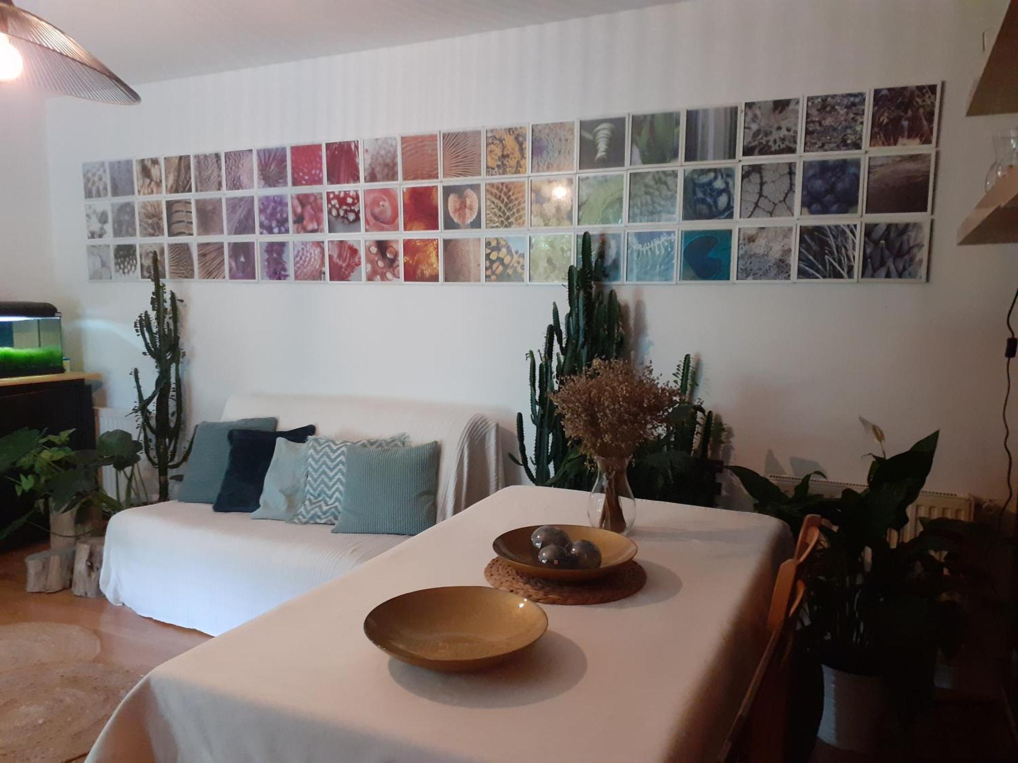 Salies-de-Béarn Au Bosquet, Chambre Et Salle De Bains Avec Petit Dejeuner A 600 M Du Centre Dans Un Cadre Calme Et Verdoyant المظهر الخارجي الصورة